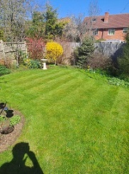 Grass cutting, weeding, trimming